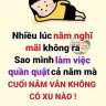 Hoang anh anh